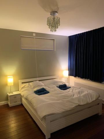 Villa Cosy Central Incl Jacuzzi Near Trainstation, Beach And City Heemstede Luaran gambar